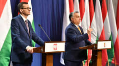  Mateusz Morawiecki ja Viktor Orbán