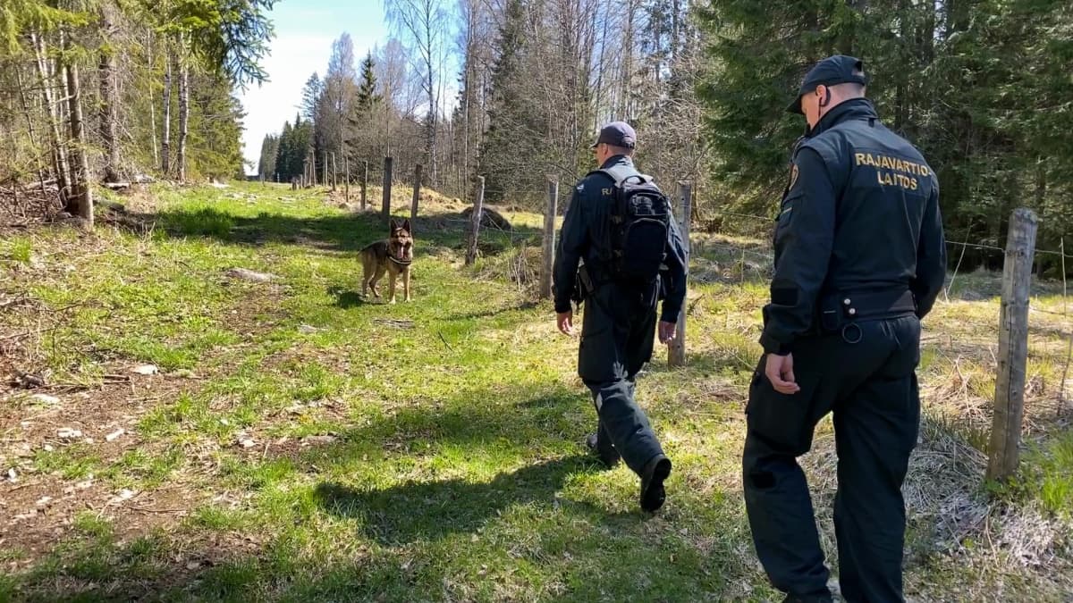 Pohjois-Karjalan rajavartioston partio kulkee rajalinjaa pitkinaurinkoisena päivänä.