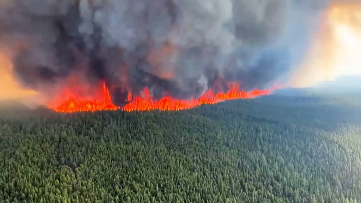 Ilmakuva metsäpalosta.