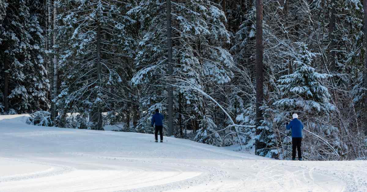 Scam Strikes Traditional Finnish Club: The Ylivieskan Kuula Incident