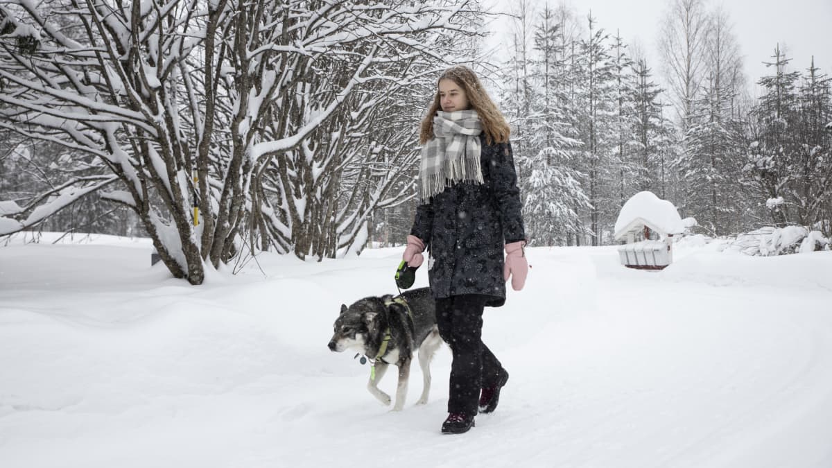 Salla Mäki