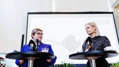 Suomen politiikka | Yle Uutiset