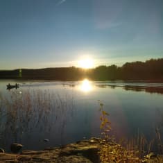 Järvimaisema ilta-auringossa