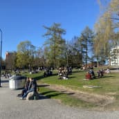 Ihmisiä aurinkoisessa Koskipuistossa, suurin osa istumassa nurmikolla.