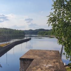 Pielisjoki virtaa aurinkoisena kesäpäivänä Kuurnan voimalaitoksen venekanavalta kuvattuna. 