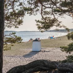 Maisema pitkälle hiekkarannalle, jossa yksi valkoinen uimakoppi. Uimakopin takana on ihmisiä ja edustalla mäntyjä.