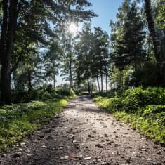 kävelytie meren rantaa mukaillen.
