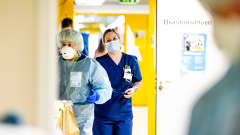 Sairaanhoitajat valmistautuvat menemään koronapotilaiden eristyshuoneisiin.