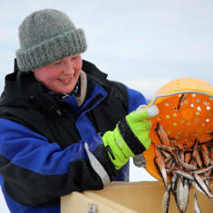 Kalastaja Karoliina Lehtimäki kaataa ämpärillä kalasaalista laatikkoon.