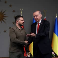 Ukrainan presidentti Zelenskyi ja Turkin presidentti Erdogan kättelevät. Taustalla näkyy Ukrainan ja Turkin lippuja.
