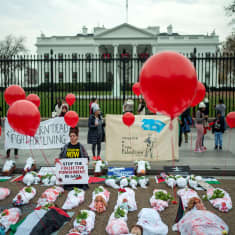 Pro-Palestiina mielenosoittajia Valkoisen talon edessä Washingtonissa.