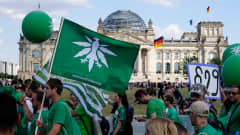 Demonstranter bär flaggor med cannabis-symboler.