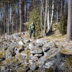 Harri Ahonen kulkee metsässä kivirakennelman vieressä.