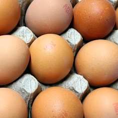 Kananmunia Kuorttisen luomukanalan pakkaamossa.