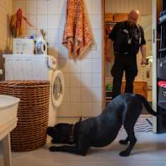 Musta koira nuuhkii pyykkikoria pesuhuoneessa. Taustalla Poliisi katselee koiraa.