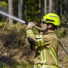 Mies kastelee metsää paloletkulla ennen kulotusta.