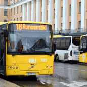 Busseja Turussa Linnankadulla.