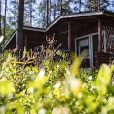Kesämökki metsän reunassa.