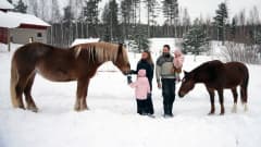 Jalkasten nelihenkinen perhe kahden hevosen kanssa Eläinsuojelukeskus Tarinoiden Tilalla Mäntyharjulla.
