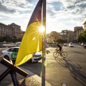 Kiova leijailee sodan ja rauhan välissä