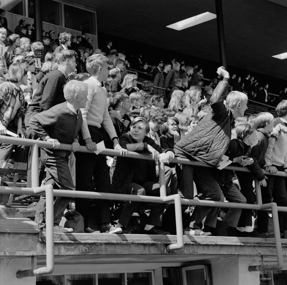 Yleisöä koululaisten viestijuoksukilpialussa Olympiastadionilla vuonna 1955.