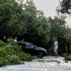 Auto ja kolme ihmistä seisovat kaatuneiden puiden ympäröimänä maantiellä.