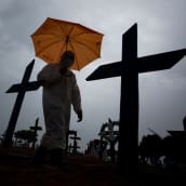 Suojapukuun varustautunut henkilö kävelee koronavirukseen menehtyneiden hautausmaan lävitse Manausissa, Brasiliassa.