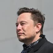 Teslan toimitusjohtaja Elon Musk.