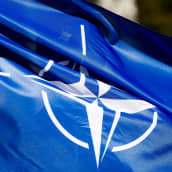 Katso suorana, kun Suomi jättää hakemuksensa Natolle