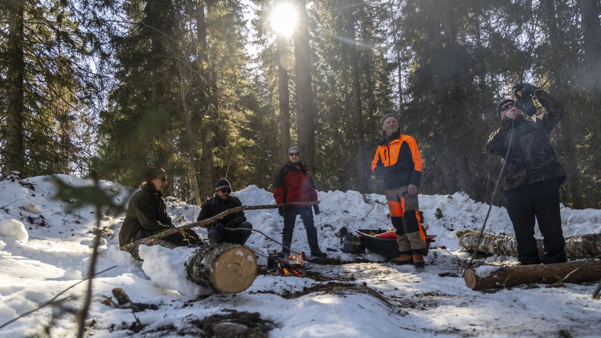 Metsän omistajia paistamassa makkaraa ja juomassa nokipannu kahveja