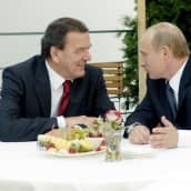 Gerhard Schröder till vänster, Vladimir Putin till höger. I förgrunden frukt på bordet.
