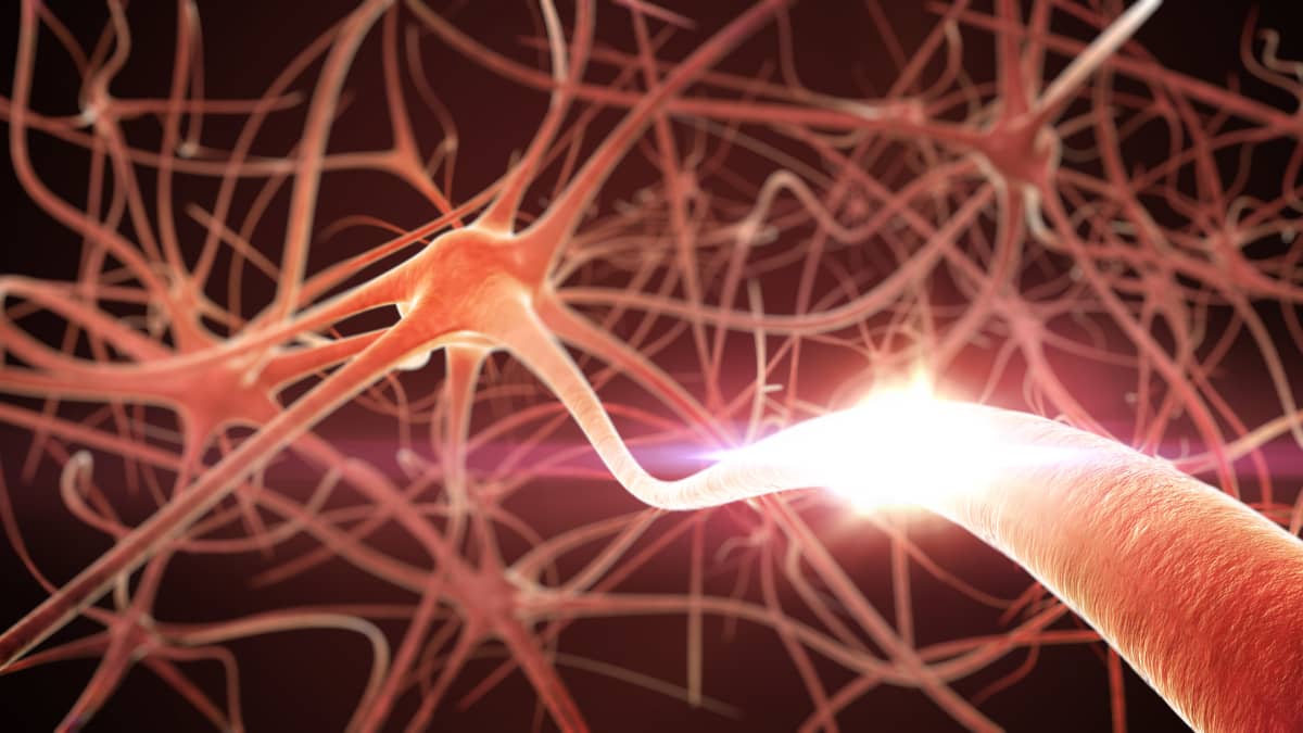 En 3D-illustration av neuroner i hjärnan.