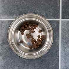 Koiranruokaa kupissa