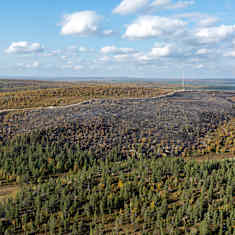 Jänispään paloalue Sevettijärvellä. 