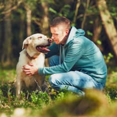 En hund och ägare i en skog. De kramar om varandra.
