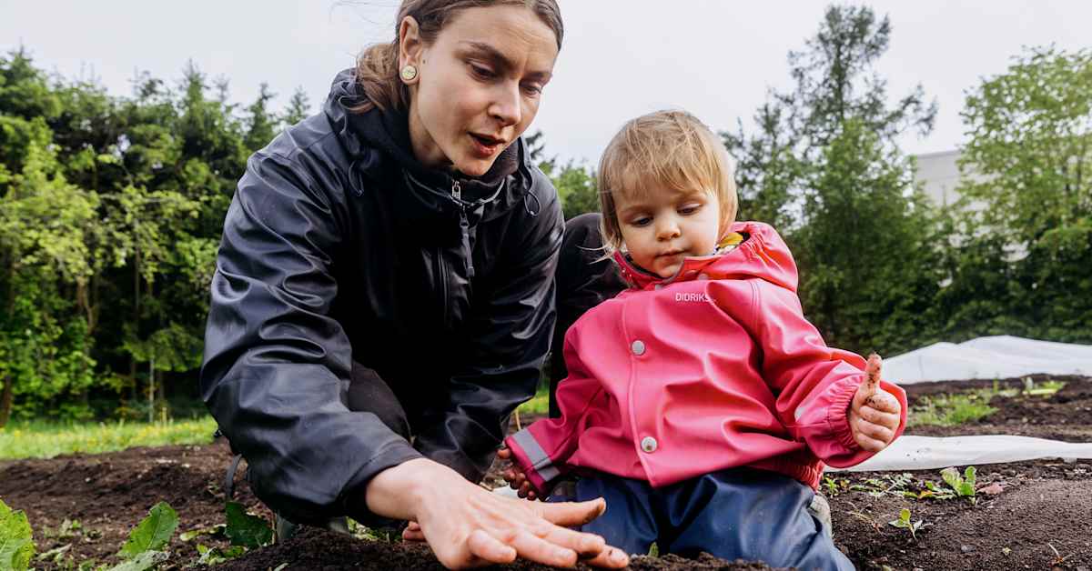 Balcony Gardening: Easy Seeds to Sow Now