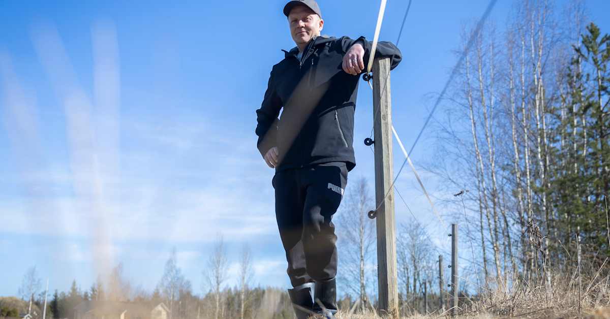 Tohmajärvellä on satanut alkuvuoden aikana vain viisi senttimetriä – tutkija kertoo, mistä kuivuus johtuu