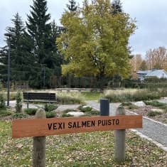 Vexi Salmen puisto Hämeenlinnan Kaurialassa lokakuun lopulla 2023.
