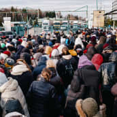 Tuhannet ihmiset jonottivat Ukrainan ja Puolan välisellä Punkt Shehynin rajavyöhykkeellä.