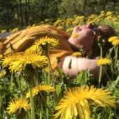 Nainen makaa voikukkaisella nurmikolla