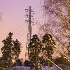 Electricity power line tower amid trees in a wintery scene with a light lilac coloured sky.
