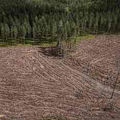 Hakkuuaukeaa ilmakuvassa.