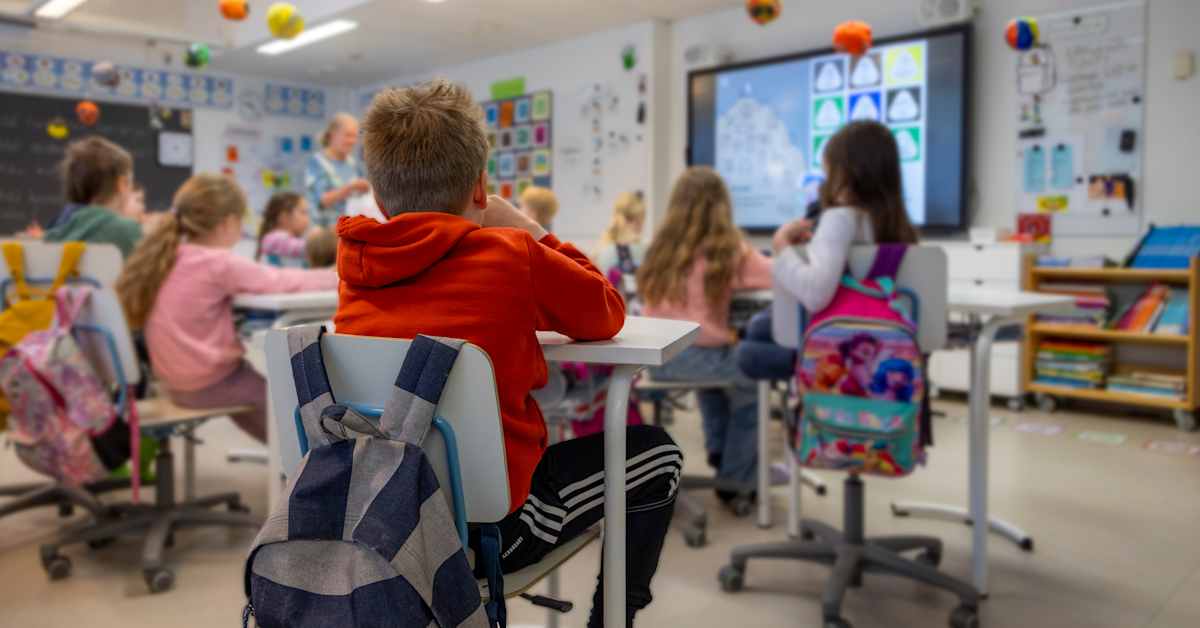 Työelämäprofessori ehdottaa isoa muutosta opettajankoulutukseen: nuorille opettajille työpariksi kokenut kollega