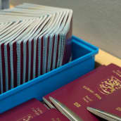 Monta passia rivissä 