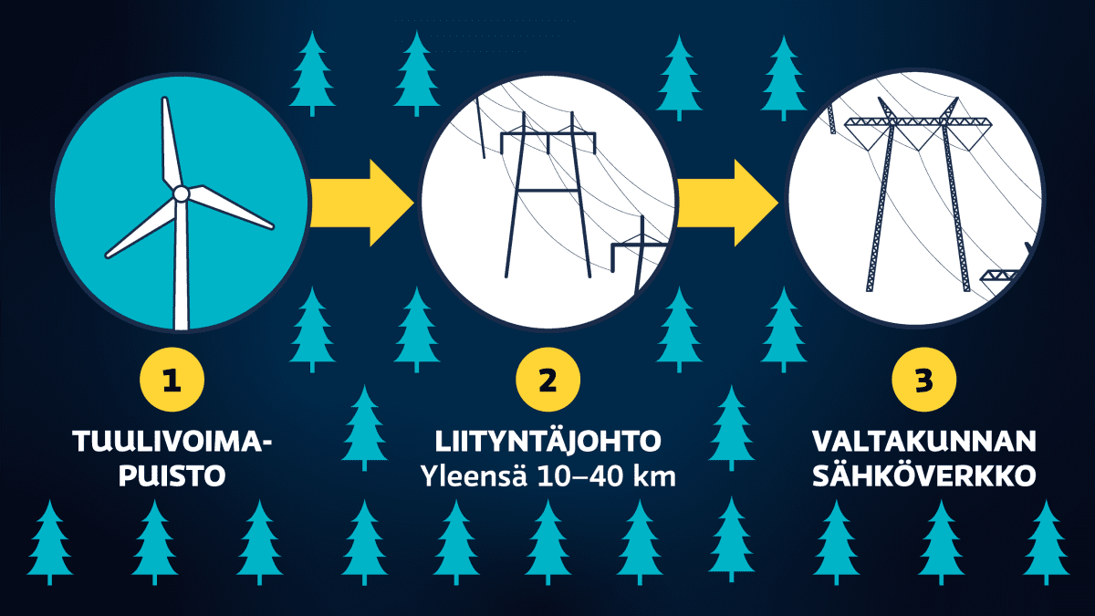 Grafiikka näyttää sähkön tien tuulivoimapuistosta valtakunnan sähköverkkoon. Sähkö kulkee liityntäjohtoa pitkin, joka on yleensä 10-40 kilometriä pitkä.