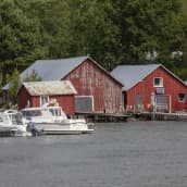 Kaunissaaren kalastajakylän rakennuksia ja veneitä