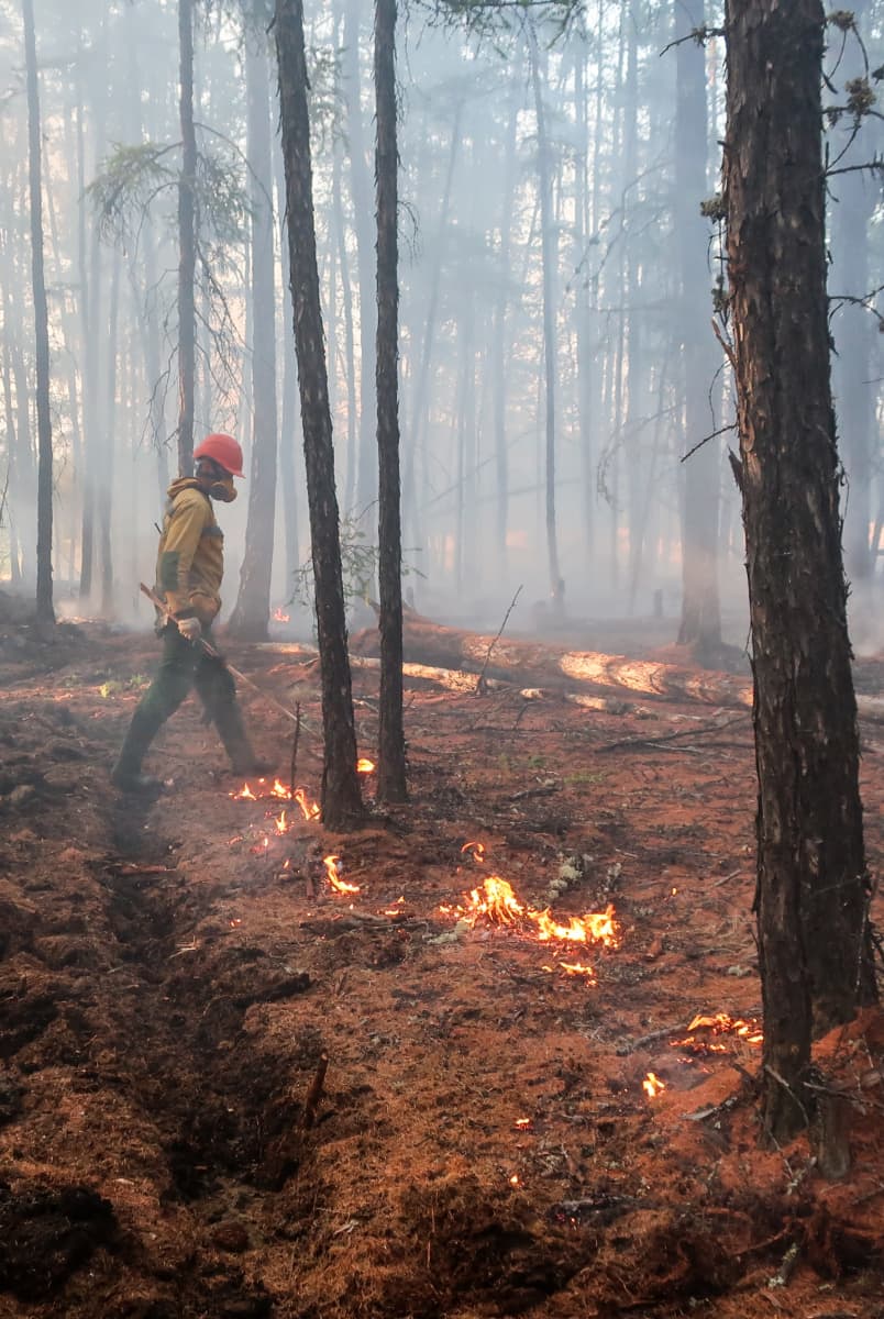 Palomies kävelee palavassa metsässä Yakutiassa Siperiassa kesäkuussa 2020. 