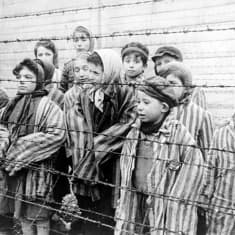 Auschwitzista vapautettuja lapsia piikkilangan takana.