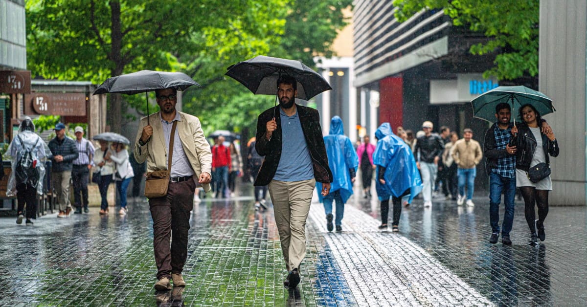Tukholman yliopiston tutkimus: Maapallolla ei ole enää paikkaa, jossa ikuisuuskemikaalien määrä sadevedessä olisi turvallisissa rajoissa