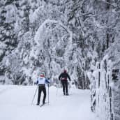 Kaksi hiihtäjää lumisessa maisemassa.